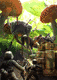 Bugs Vs Tanks (3DS) Bugs Vs Tanks (3DS)