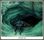 Deep Labyrinth - DS/DSi Artwork