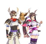 Pokémon Conquest - DS/DSi Artwork