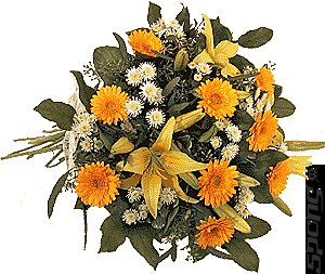 Exclusive Webchat with Flowers for Jack Protagonists - News Exclusive Webchat with Flowers for Jack Protagonists - News