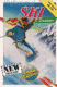 Professional Ski Simulator (C64)
