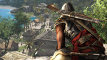 Assassin's Creed: Freedom Cry - PC Screen