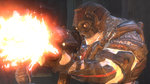 Related Images: Gears Of War To Be Announced On PC At E3 News image