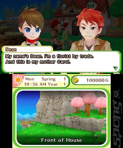 Harvest Moon: Skytree Village - 3DS/2DS Screen