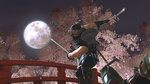 Heaps of New Missions For Ninja Gaiden 2 News image