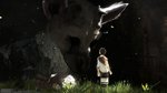 The Last Guardian Editorial image