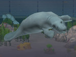 Zoo Tycoon 2: Ultimate Collection - PC Screen