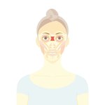 Face Training - DS/DSi Artwork