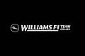 Hot Wheels Williams F1 Team: Team Driver  - PC Artwork