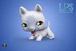 Littlest Pet Shop - Wii Artwork