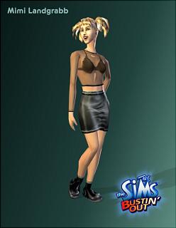 The Sims Bustin' Out - GameCube Artwork