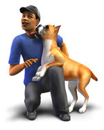 The Sims 2: Pets - PSP Artwork