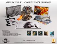 Guild Wars 2 - PC Cover & Box Art