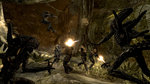 Rebellion Won't Compromise AvP for Censors News image