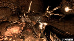 Rebellion Won't Compromise AvP for Censors News image