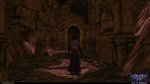 Anima: Gate of Memories - Switch Screen