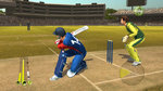 Brian Lara International Cricket 2007 - PC Screen