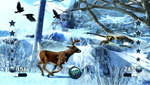 Cabela's Big Game Hunter 2012 - Wii Screen