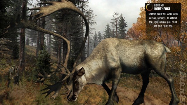 Cabela's Big Game Hunter: Pro Hunts - PS3 Screen