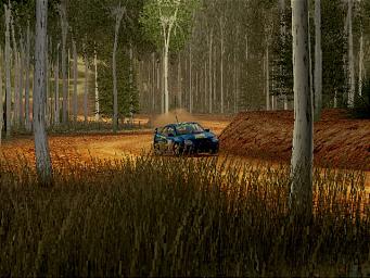 Colin McRae Rally 04 - PS2 Screen