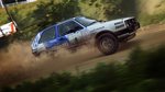 DiRT Rally 2.0 - PS4 Screen