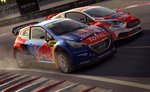 DiRT Rally: Legend Edition - PC Screen