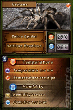 Discovery Kids: Spider Quest - DS/DSi Screen