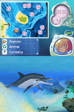 Dolphin Island: Underwater Adventures - DS/DSi Screen