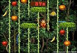 Related Images: Donkey Konga 2 confirmed! News image