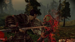 Dragon Age Origins: Ultimate Edition - Xbox 360 Screen