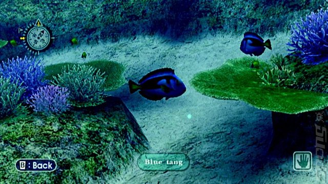 Endless Ocean - Wii Screen
