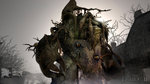 GamesCom '09: Fable II gets Episodic Treatment News image