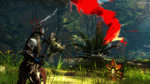 Guild Wars 2: Heart of Thorns - Part Two Editorial image