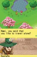 Harvest Moon DS - DS/DSi Screen