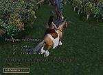 Heroes of Might and Magic: Quest for the Dragon Bone Staff - PS2 Screen