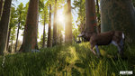 Hunting Simulator - PS4 Screen