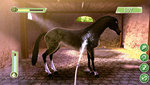 Imagine Champion Rider 2009 - PSP Screen