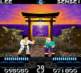 International Karate 2000 - Game Boy Color Screen