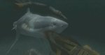 Jaws Unleashed - Xbox Screen