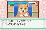 Kawaii Pet Game Gallery - GBA Screen