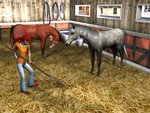 My Riding Stables - DS/DSi Screen
