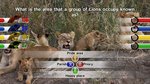 Nat Geo Quiz!: WildLife - Xbox 360 Screen