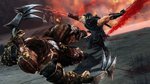 Ninja Gaiden 3: Razor's Edge - Wii U Screen