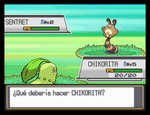 Pokémon HeartGold Version - DS/DSi Screen