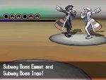 Pokémon White Version - DS/DSi Screen