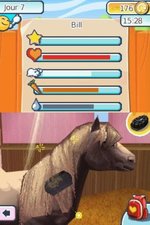 Pony Life - DS/DSi Screen