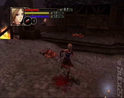 Realm of the Dead - PS2 Screen