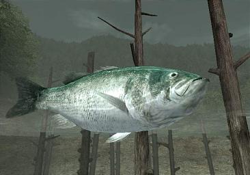 Reel Fishing III - PS2 Screen