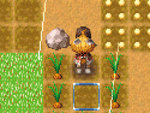 Rune Factory: A Harvest Moon Fantasy - DS/DSi Screen