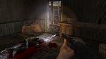 Shellshock 2: Blood Trails - PS3 Screen